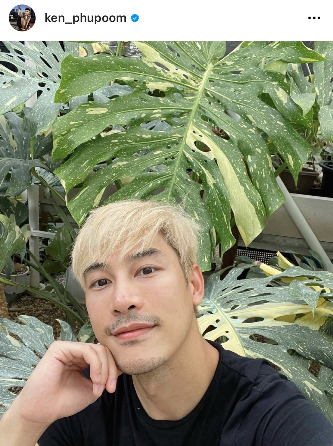 จากหลักร้อยสู่หลักล้าน เคน ภูภูมิ เผยรายได้สุดปังจากการขายต้นไม้ 