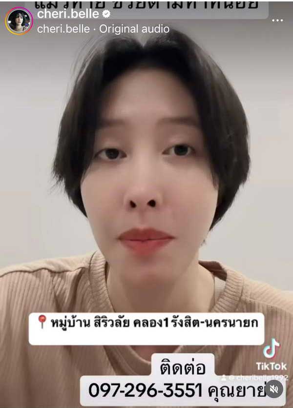 เฌอเบลล์ แมวหาย สายพันธุ์เบงกอล พบมีรางวัลให้ วอนอย่าบอกว่าน้องถูกกินไปแล้ว เฌอเบลล์ แมวหาย สายพันธุ์เบงกอล พบมีรางวัลให้ วอนอย่าบอกว่าน้องถูกกินไปแล้ว