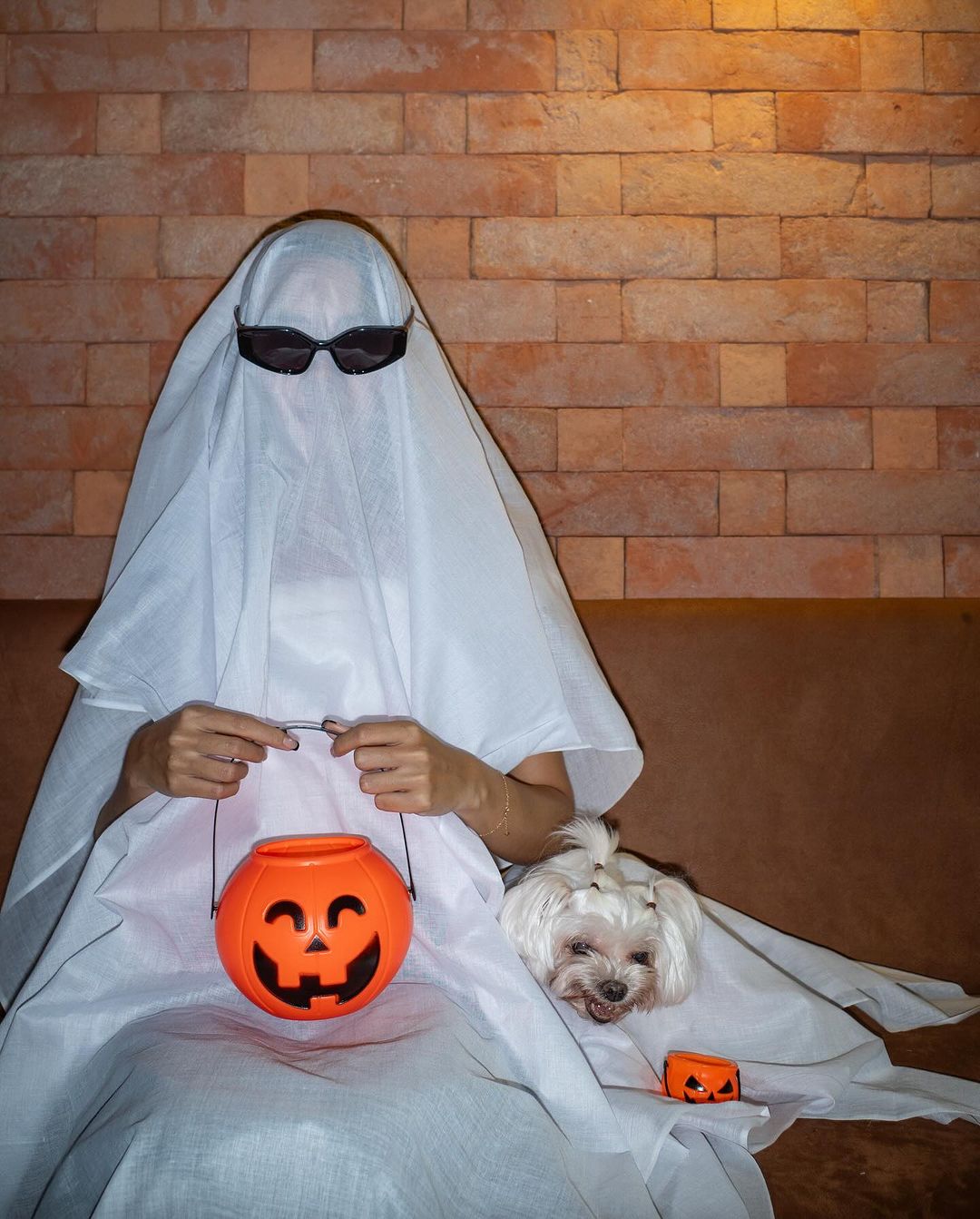 วันฮาโลวีน 2566 ส่องคนบันเทิง แปลงโฉมจัดเต็มความหลอน ใครเป็นใครต้องดู