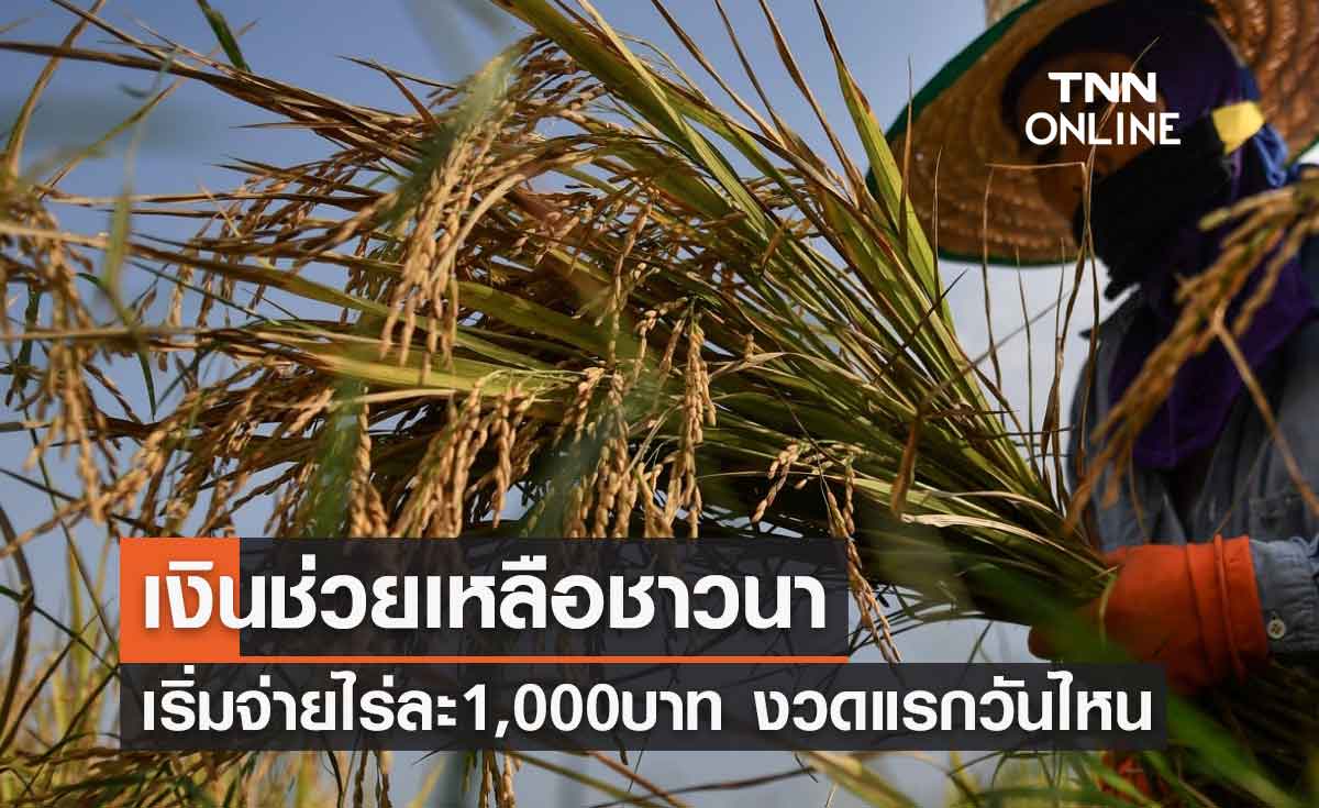 เงินช่วยเหลือชาวนา เช็กที่นี่ ธ.ก.ส.เริ่มจ่ายไร่ละ 1,000 บาทงวดแรกวันไหน