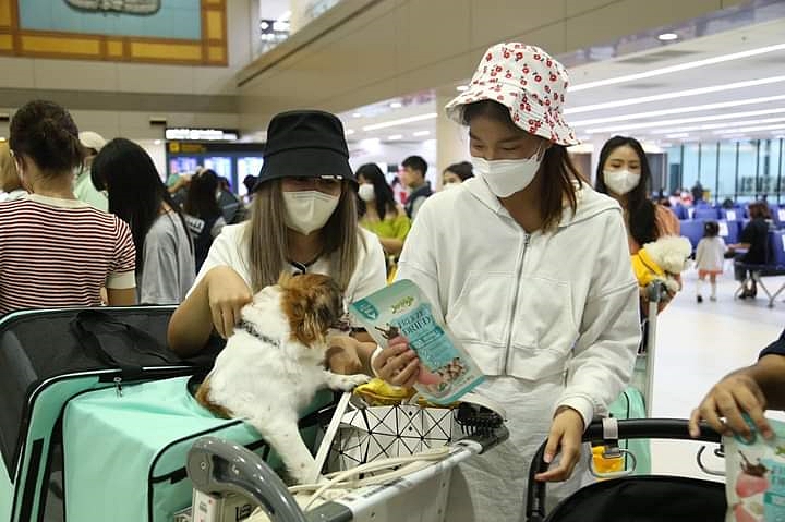 JerHigh x Nok Air เปิดไฟลท์พิเศษ พามะหมาตัวโปรด ลัดฟ้าแอ่วเชียงใหม่