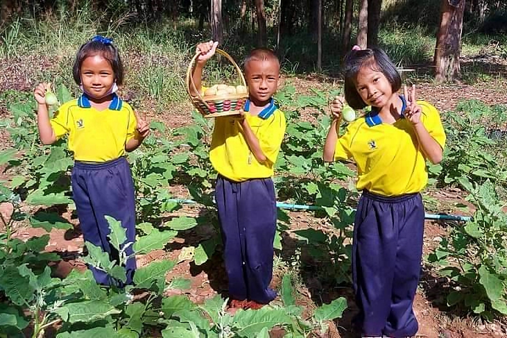 โรงเรียนบ้านแก้วเพชรพลอย จ.สระแก้ว สอนทักษะอาชีพ-สร้างคลังอาหาร “โครงการเลี้ยงไก่ไข่เพื่ออาหารกลางวันนักเรียน”