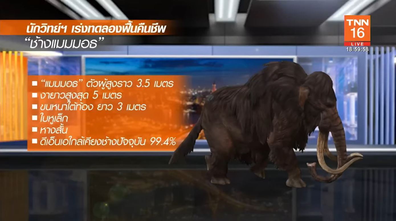 พบซากลูกช้างแมมมอธขนยาว ต่อยอดฟื้นคืนชีพสัตว์สูญพันธุ์