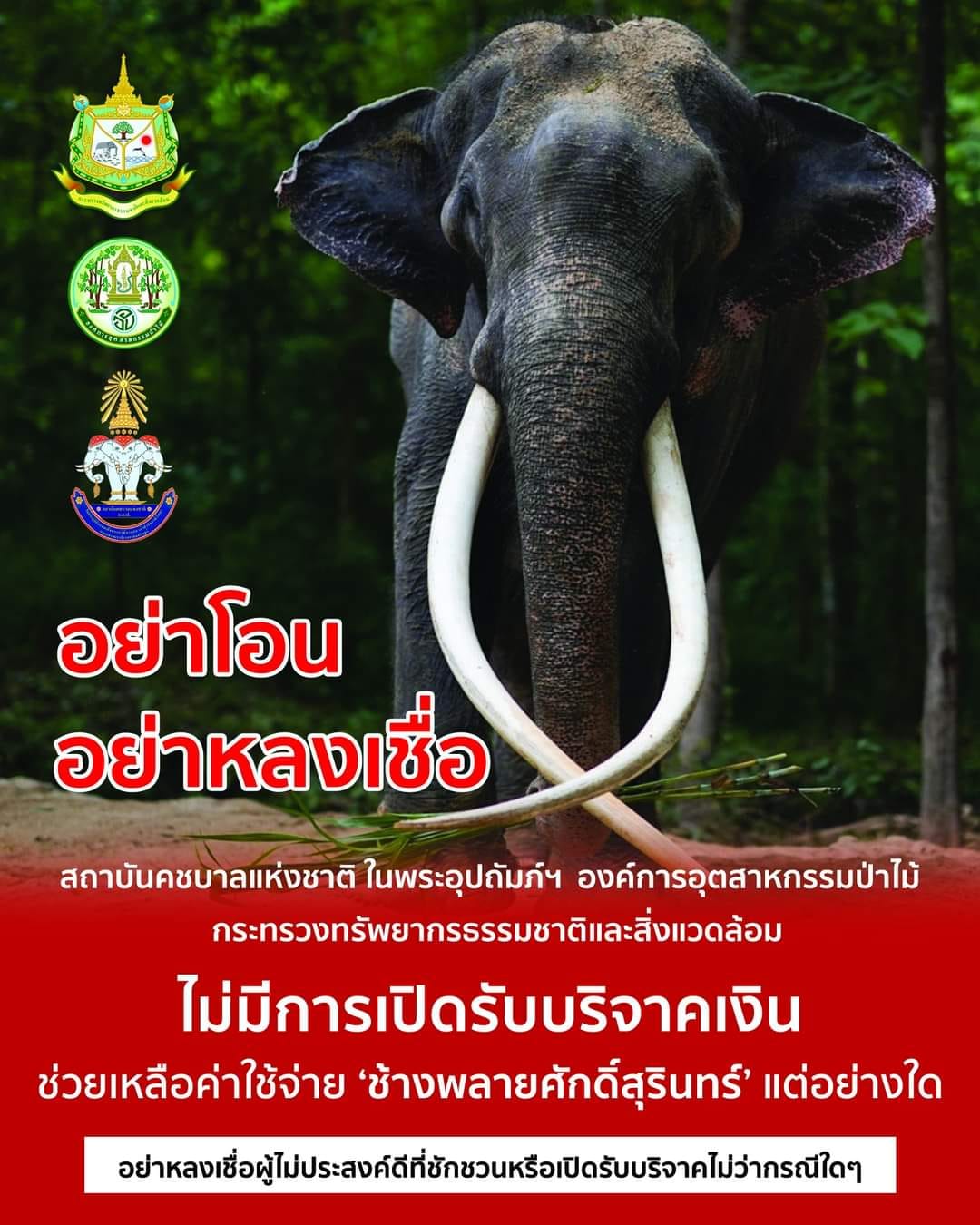 ช่องทางดูไลฟ์สด พลายศักดิ์สุรินทร์ วันละ 2 รอบ เช็กเลยที่นี่!