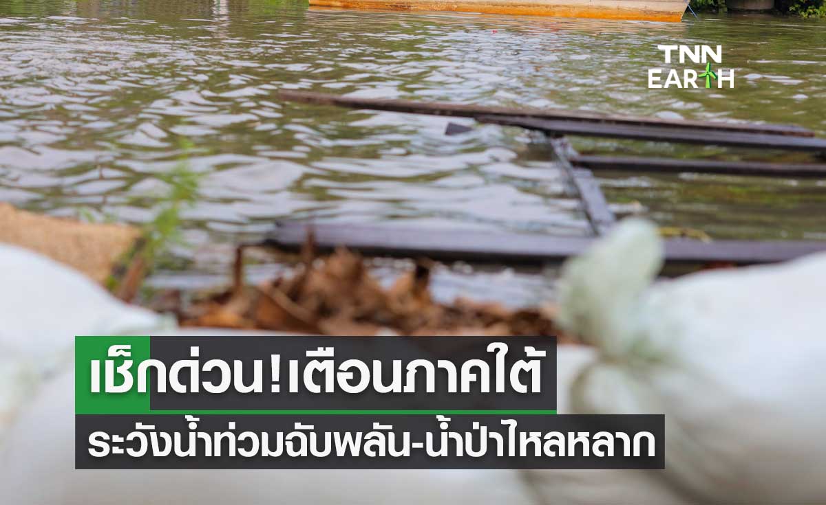 เช็กด่วน! เตือนภาคใต้ 4-6 พ.ย. 65 ระวังน้ำท่วมฉับพลัน-น้ำป่าไหลหลาก
