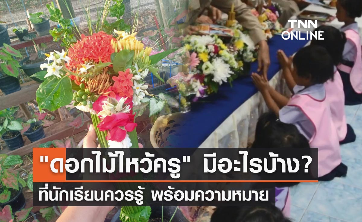 "ดอกไม้ไหว้ครู" มีอะไรบ้าง? พร้อมความหมาย ดูเลยที่นี่ก่อนถึงวันครู 2567