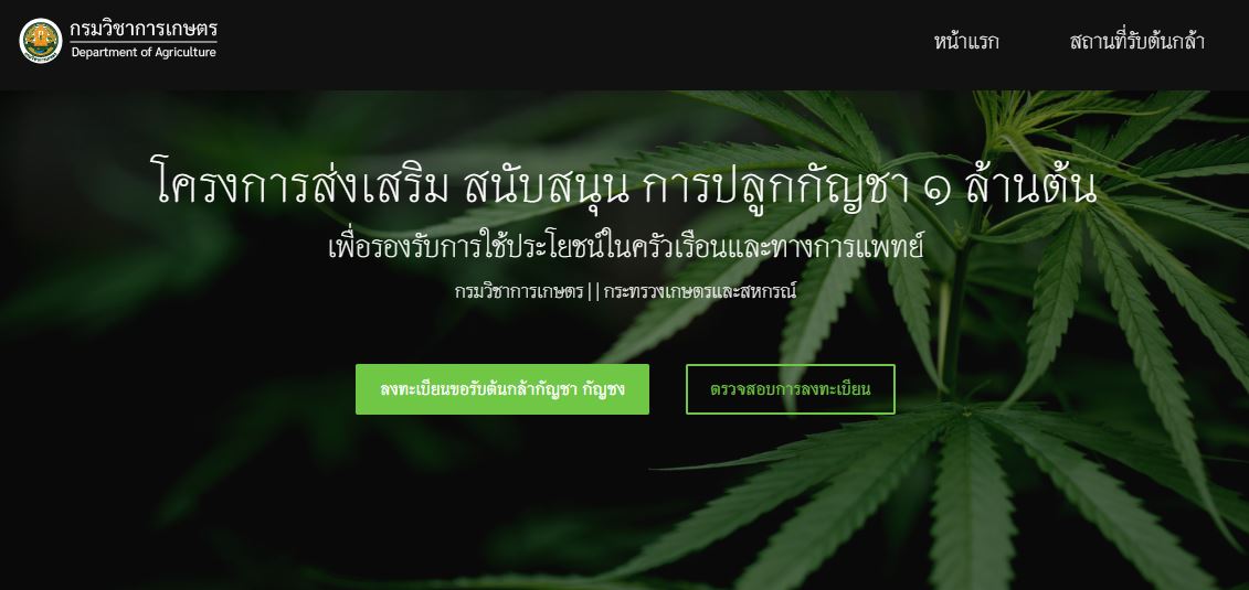 ลงทะเบียนรับต้นกัญชาฟรี ต้องกรอกข้อมูลอะไรบ้าง เช็กขั้นตอนทั้งหมดที่นี่!
