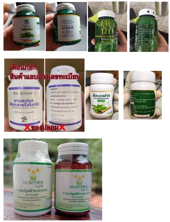 อย.พบ ฟ้าทะลายโจร 6 รายการ ไม่ขออนุญาต-สวมเลข อย.