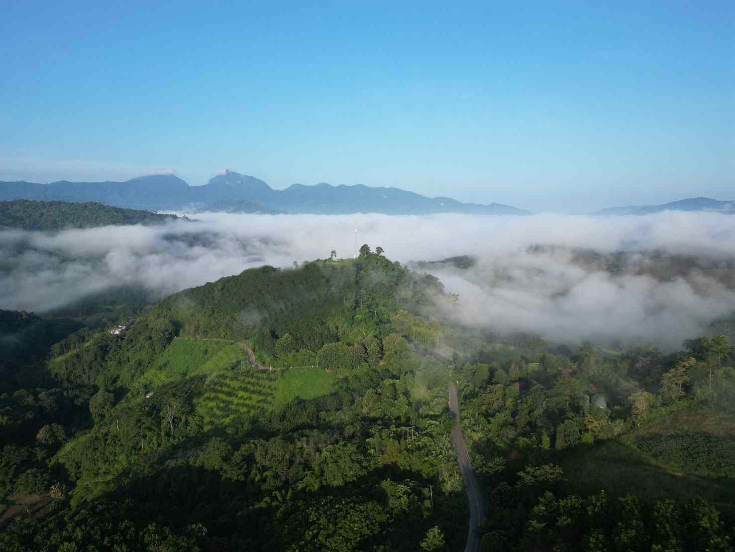 เครือซีพี เดินหน้าต่อเนื่องจับมือภาครัฐ ชูโมเดลคืนป่าต้นน้ำภาคเหนือ เข้าสู่ปีที่ 2 เครือซีพี เดินหน้าต่อเนื่องจับมือภาครัฐ ชูโมเดลคืนป่าต้นน้ำภาคเหนือ เข้าสู่ปีที่ 2