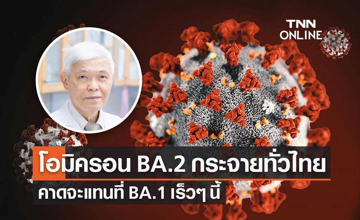 "หมอยง" พบโควิดโอมิครอน BA.2 กลายเป็นสายพันธุ์หลักในไทย คาดแทนที่ BA.1 เร็วๆ นี้