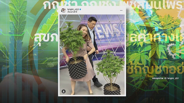 9 มิ.ย. ปลดล็อกกัญชาวันแรก “สรยุทธ-ไบรท์-แทค-โจอี้บอย-มาลีฮวนน่า” ตื่นตัว   (มีคลิป)