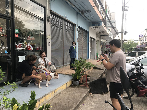 เปิดใจเจ้าของใหม่ ‘หมวยเล็ก’ ไซบีเรียนถูกทำร้าย ตอนนี้เหมือนฟ้าหลังฝน เปิดใจเจ้าของใหม่ ‘หมวยเล็ก’ ไซบีเรียนถูกทำร้าย ตอนนี้เหมือนฟ้าหลังฝน