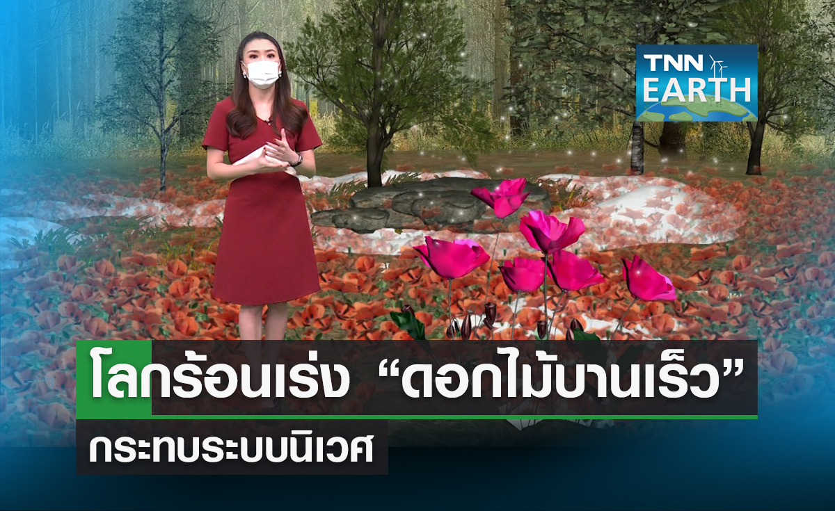 โลกร้อนเร่ง”ดอกไม้บานเร็ว” ส่งสัญญาณกระทบระบบนิเวศ