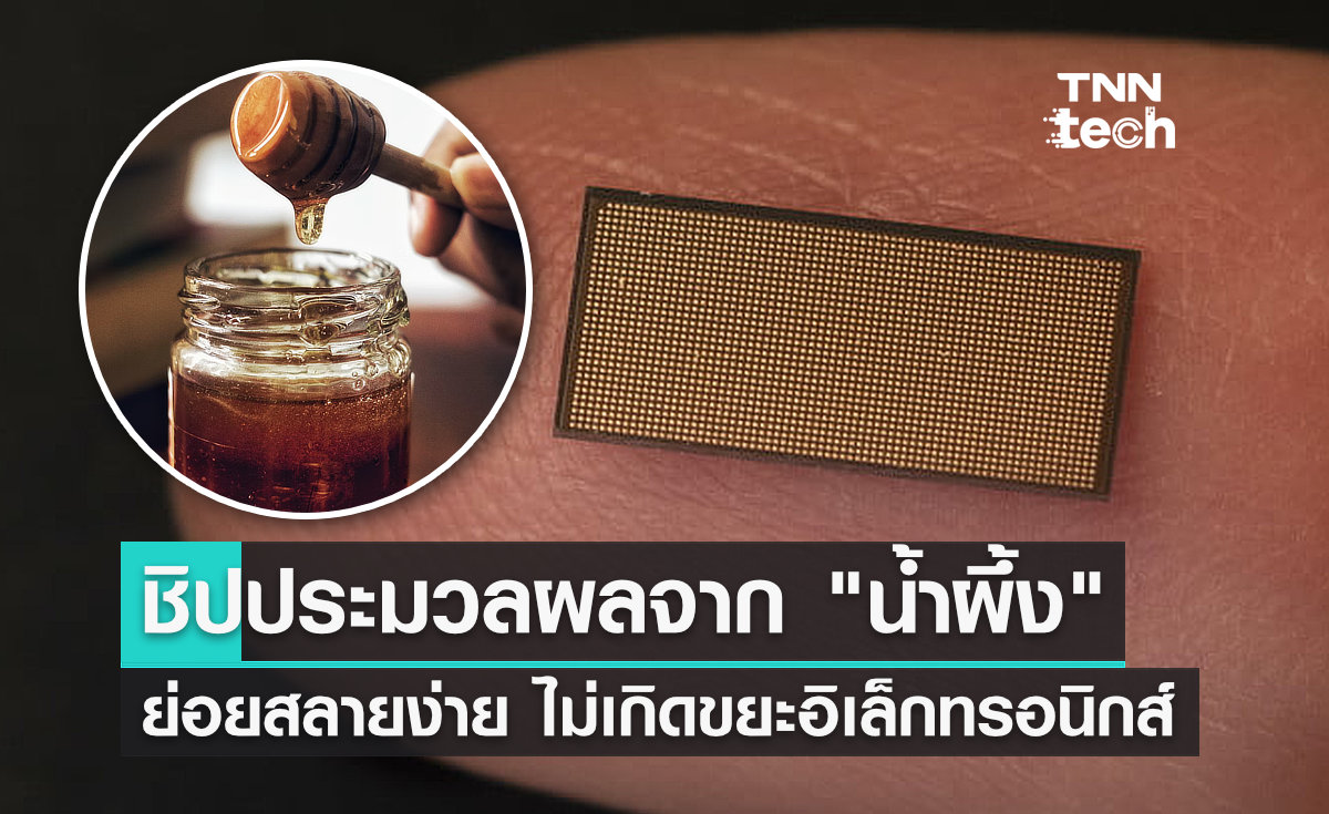 ชิปประมวลผลจาก "น้ำผึ้ง" ย่อยสลายง่าย ไม่เกิดขยะอิเล็กทรอนิกส์