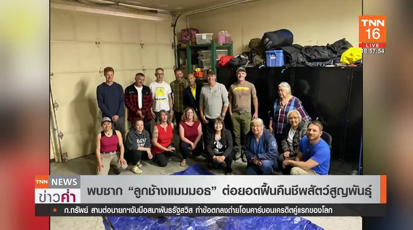 พบซากลูกช้างแมมมอธขนยาว ต่อยอดฟื้นคืนชีพสัตว์สูญพันธุ์