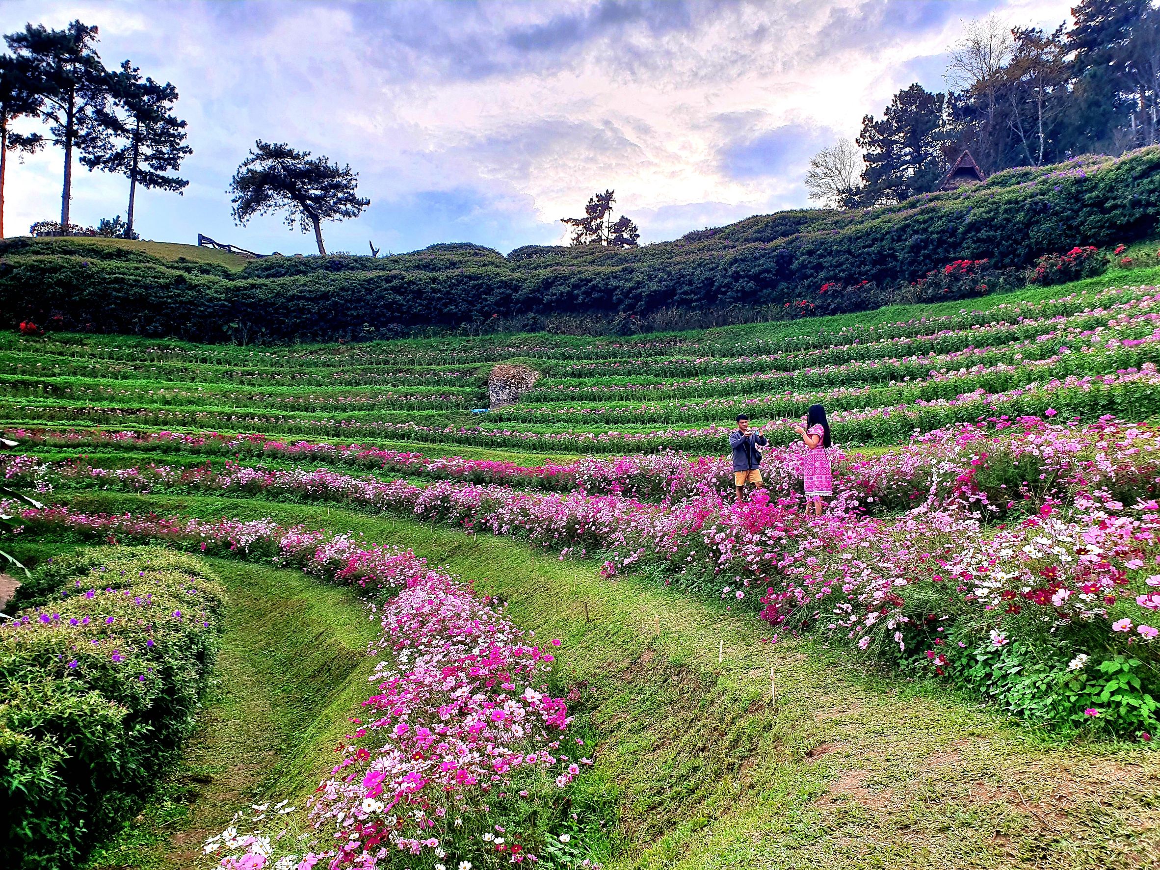 พาชม! ทะเลหมอก อุทยานฯห้วยน้ำดัง หนาวนี้ไม่ไปไม่ได้แล้ว