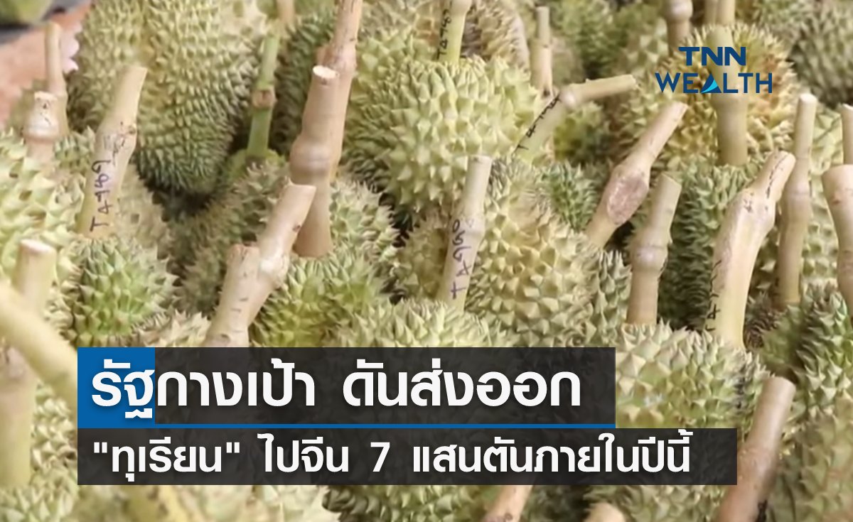 รัฐกางเป้าดันส่งออก "ทุเรียน" ไปจีน 7 แสนตันภายในปีนี้ 