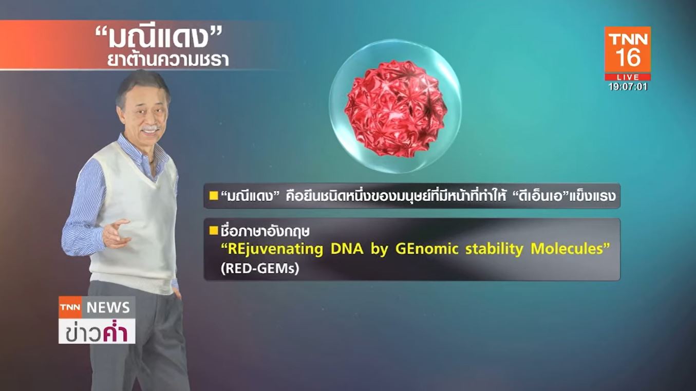 รู้จัก มณีแดง หรือ RED-GEMs ยาต้านความชรา ไทยค้นพบครั้งแรกของโลก!