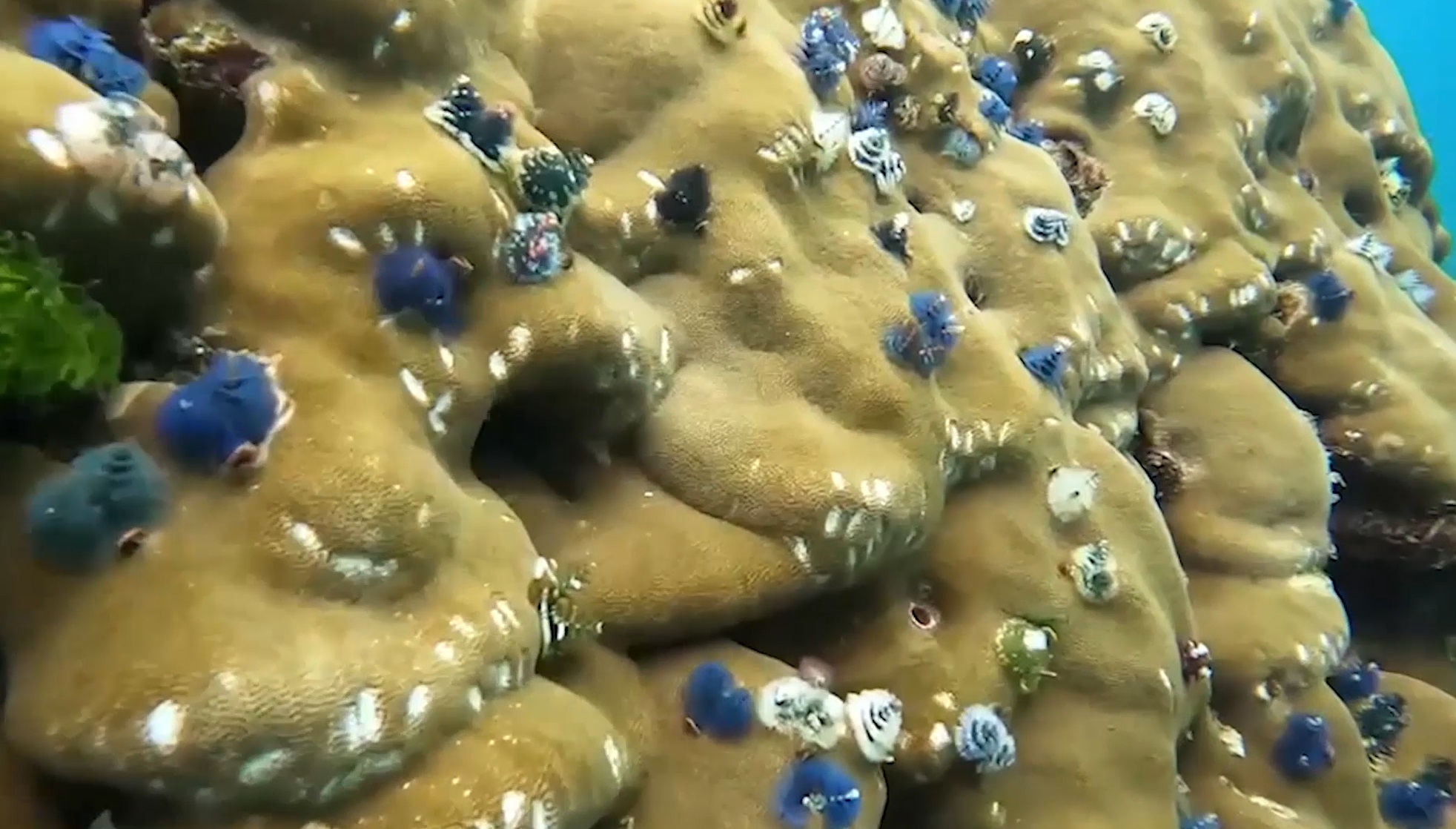 เกาะกระดาน ฟีเวอร์! ห้องพักช่วงเมษายน-พฤษภาคม ถูกจองเต็มหมดแล้ว!