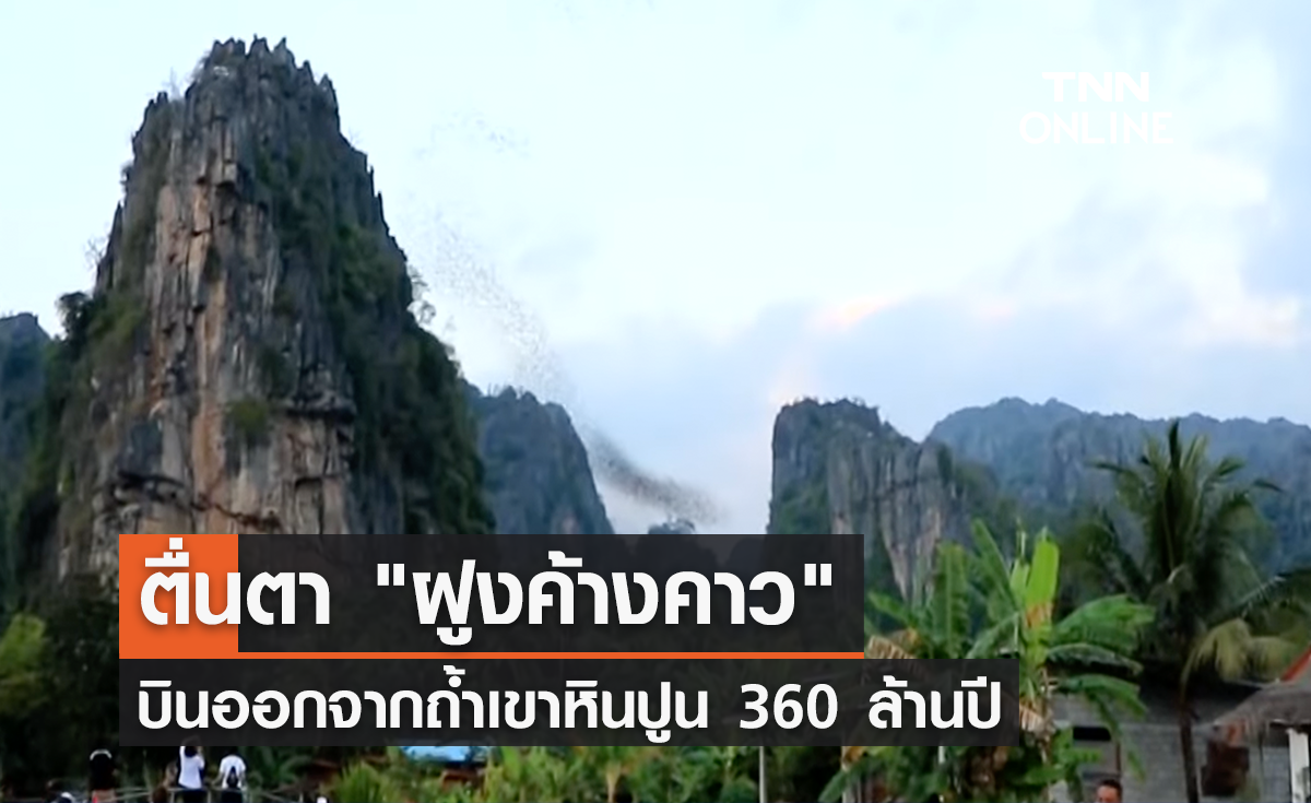 ตื่นตา "ฝูงค้างคาว" บินออกจากถ้ำเขาหินปูน 360 ล้านปี