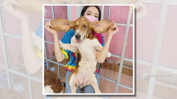 “แก้มบุ๋ม” เผยเปิดคาเฟ่สัตว์ เพราะความรักหมาแมว  (มีคลิป)