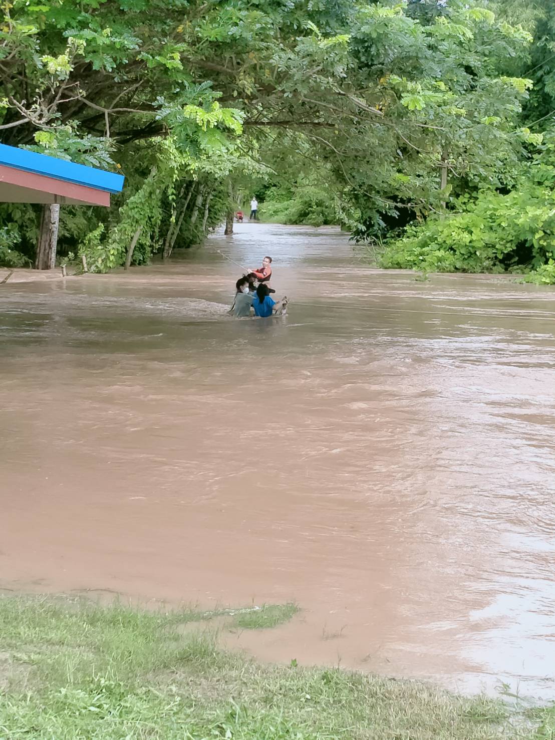 ฝนถล่มปราจีนบุรี น้ำป่าเขาใหญ่หลากท่วมบ้านเรือนประชาชน ฝนถล่มปราจีนบุรี น้ำป่าเขาใหญ่หลากท่วมบ้านเรือนประชาชน