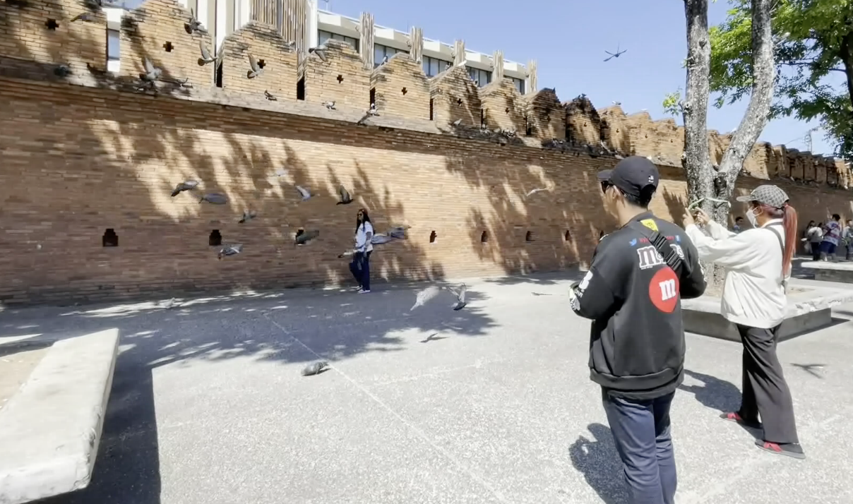 ที่เที่ยวเชียงใหม่ ! จุดแลนมาร์คห้ามพลาด ถ่ายรูปพิราบบินประตูท่าแพ 