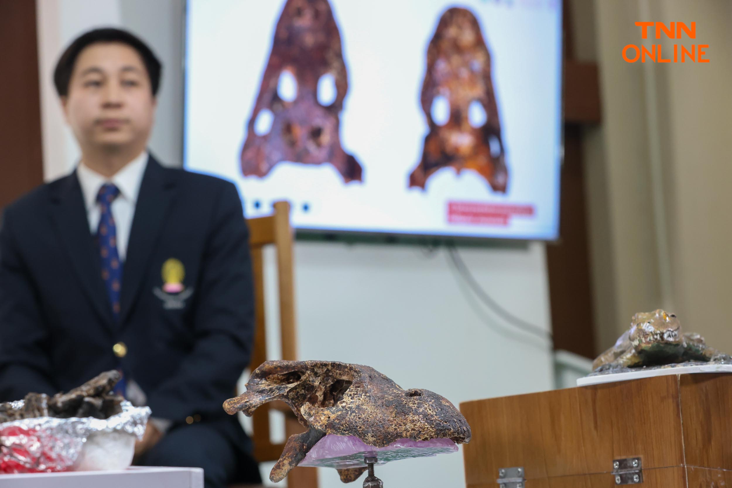 สายพันธุ์ใหม่ของโลก พบในไทยซากดึกดำบรรพ์อัลลิเกเตอร์ สายพันธุ์ใหม่ของโลก พบในไทยซากดึกดำบรรพ์อัลลิเกเตอร์