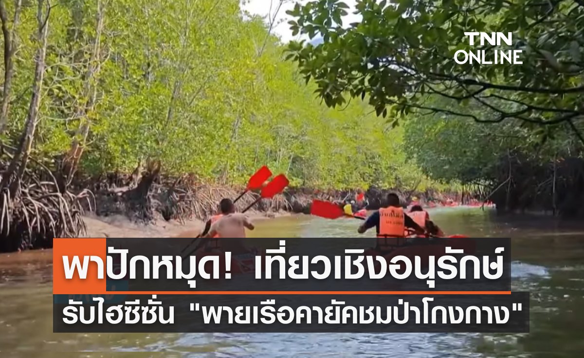 พาปักหมุด! เที่ยวเชิงอนุรักษ์รับไฮซีซั่น "พายเรือคายัคชมป่าโกงกาง"
