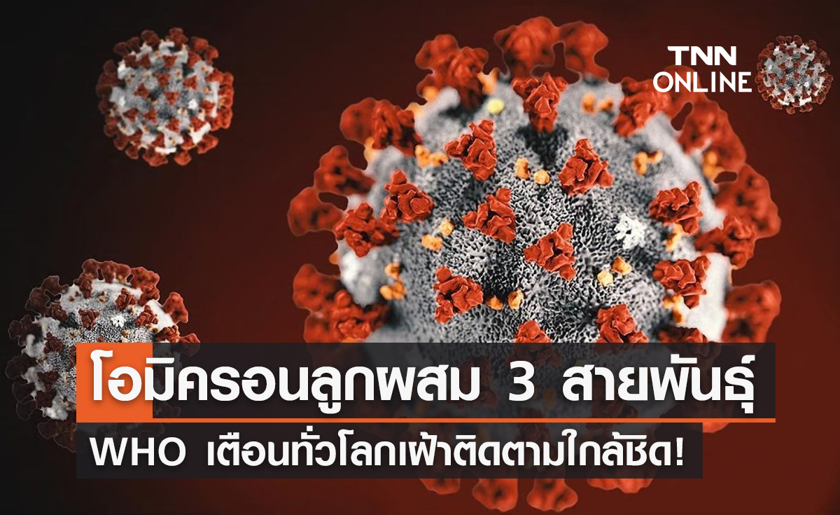 WHO เตือน! ทั่วโลกเฝ้าติดตาม "โอมิครอนลูกผสม 3 สายพันธุ์" อย่างใกล้ชิด