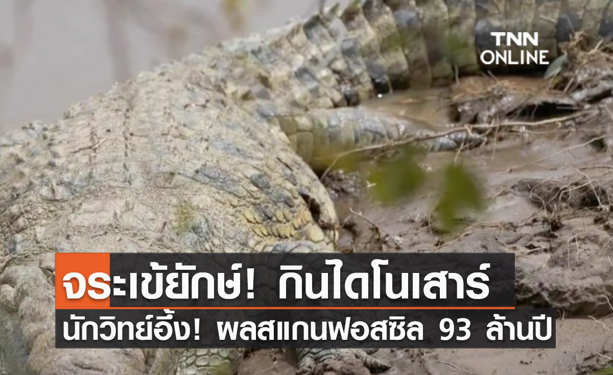 (คลิป) จระเข้ยักษ์! กินไดโนเสาร์ นักวิทย์อึ้ง! ผลสแกนฟอสซิล 93 ล้านปี