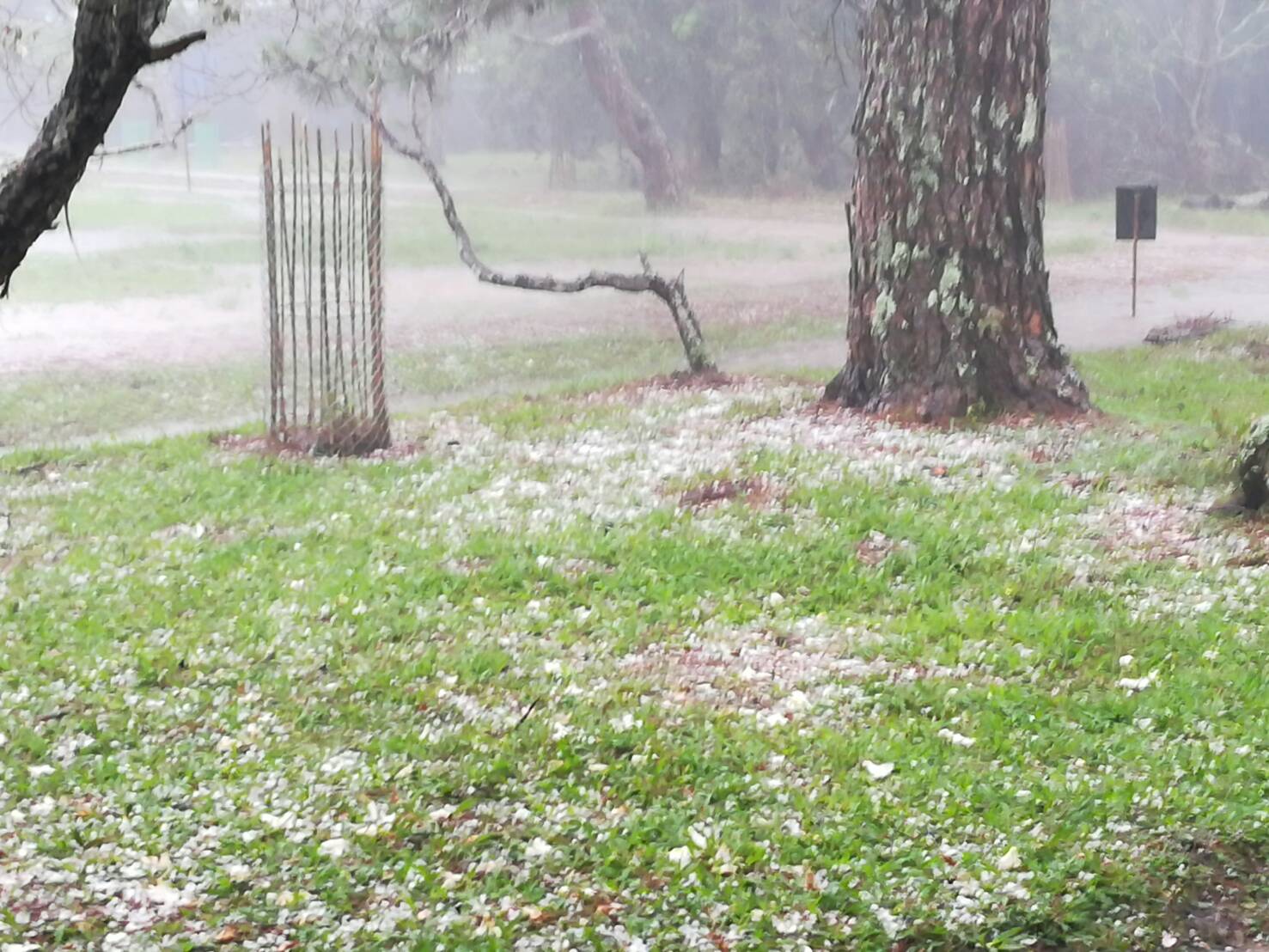 ขาวโพลน! พายุลูกเห็บตกบนยอดภูกระดึง ขาวโพลน! พายุลูกเห็บตกบนยอดภูกระดึง