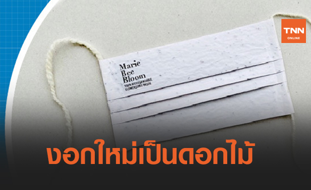 หน้ากากอนามัยจากกระดาษข้าว ใช้แล้วปลูกใหม่กลายเป็นดอกไม้