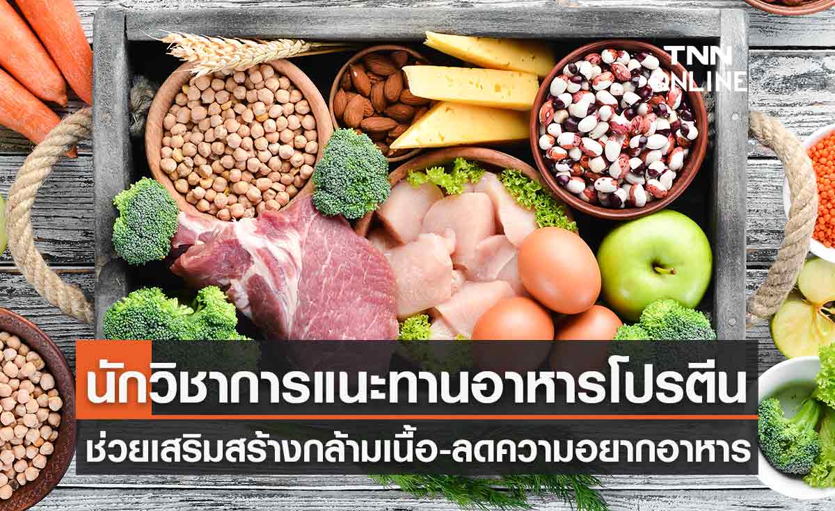 นักวิชาการแนะทานอาหารโปรตีน ช่วยเสริมสร้างกล้ามเนื้อ-ลดความอยากอาหาร