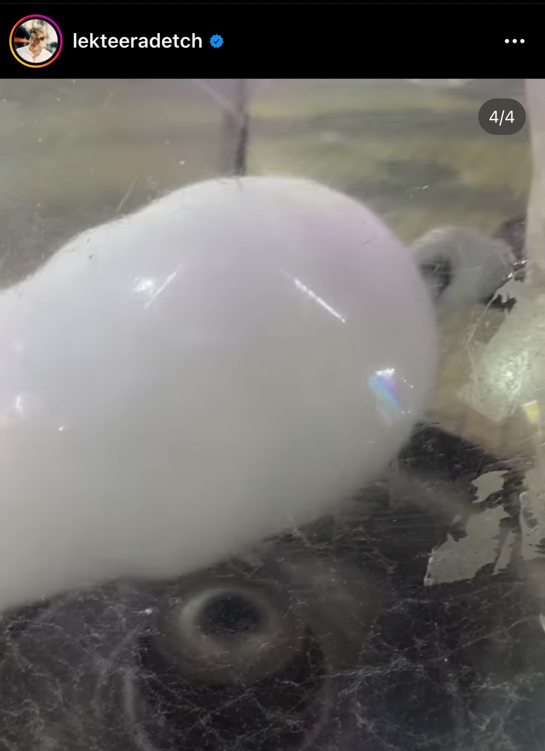 หวานกว่าขนมสายไหม ก็คู่นี้ อาเล็ก-โบว์ เสิร์ฟโมเมนต์นี้ฟินเวอร์! หวานกว่าขนมสายไหม ก็คู่นี้ อาเล็ก-โบว์ เสิร์ฟโมเมนต์นี้ฟินเวอร์!