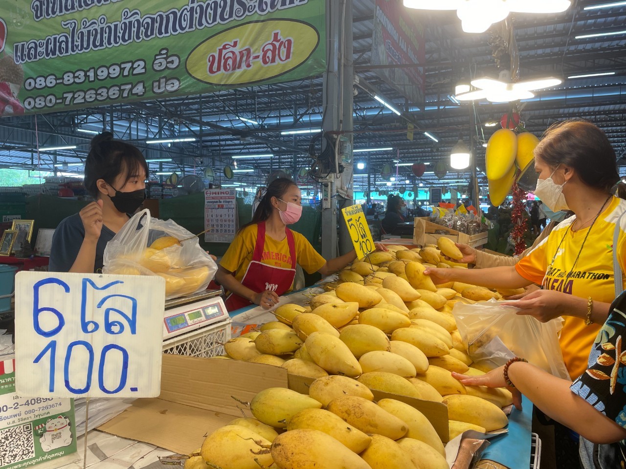 แม่ค้ามะม่วงโคราชขอบคุณมิลลิ ยอดขายพุ่ง 500 กก.หมดเกลี้ยงไม่กี่ชม. แม่ค้ามะม่วงโคราชขอบคุณมิลลิ ยอดขายพุ่ง 500 กก.หมดเกลี้ยงไม่กี่ชม.