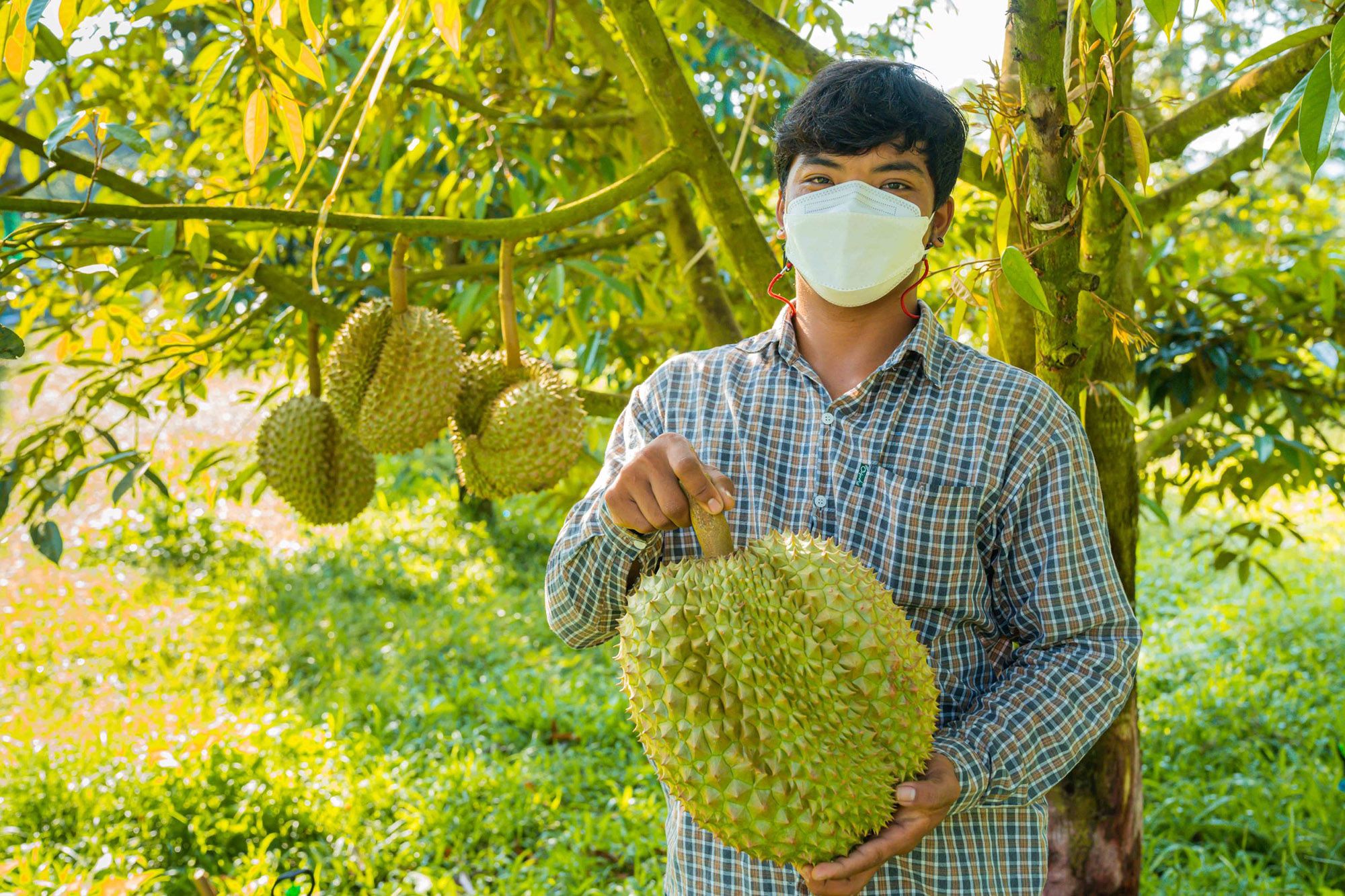 ห้ามพลาด! โลตัส จัดเทศกาล บุฟเฟ่ต์ทุเรียน 399 บาท นำร่องสาขารามอินทรา ห้ามพลาด! โลตัส จัดเทศกาล บุฟเฟ่ต์ทุเรียน 399 บาท นำร่องสาขารามอินทรา