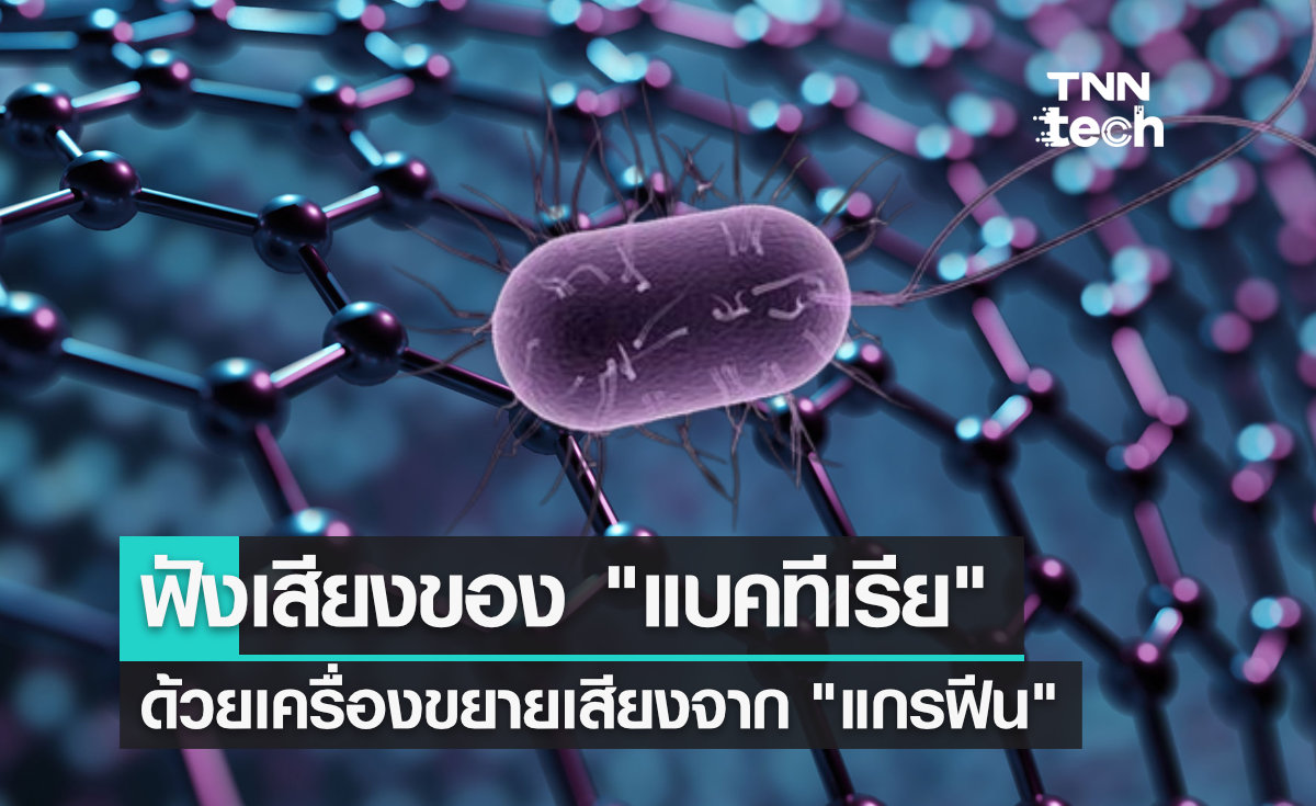 ฟังเสียงการเคลื่อนไหวของ "แบคทีเรีย" ด้วยเครื่องขยายเสียงที่ทำจากแกรฟีน