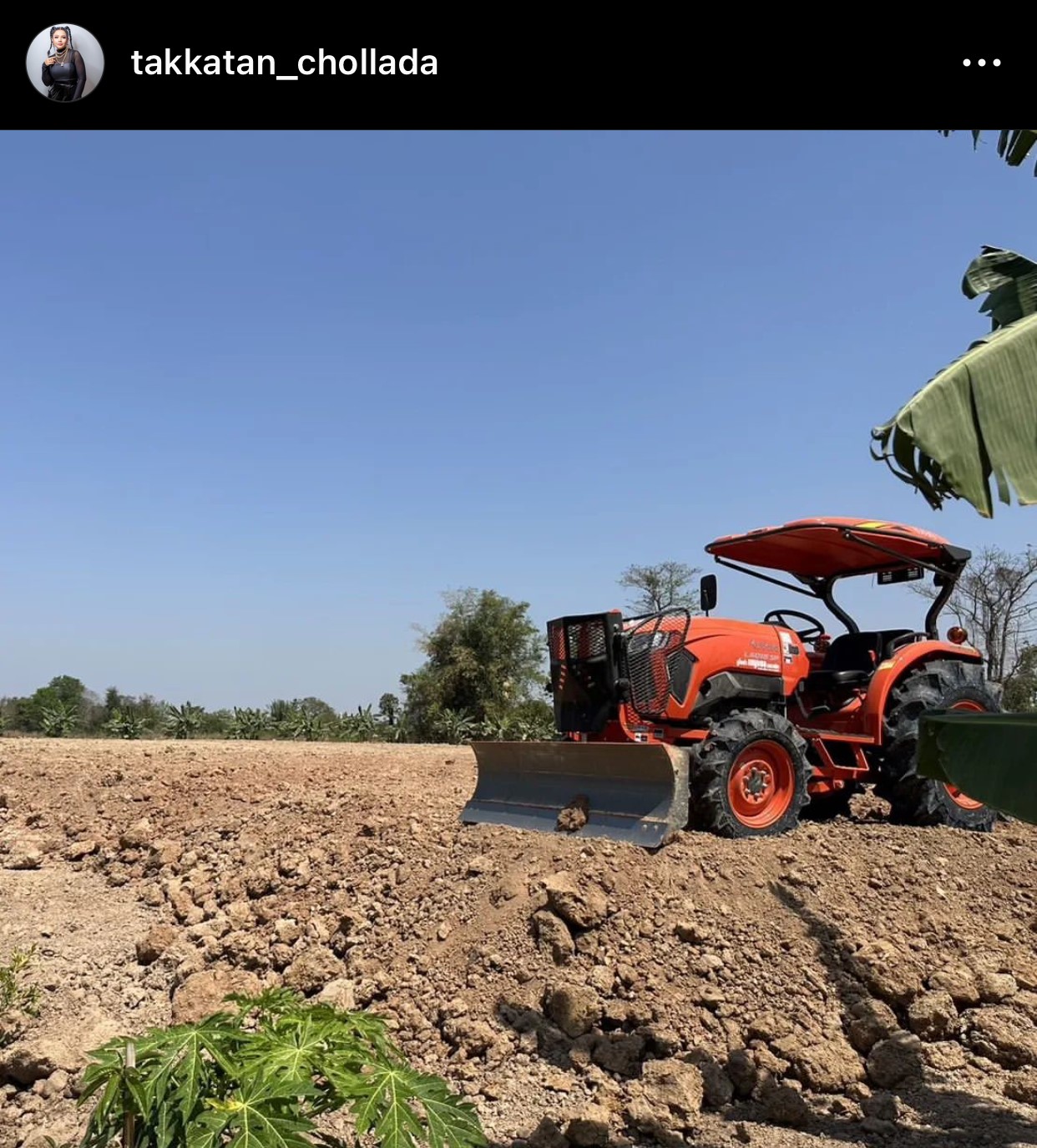 หญิงแกร่ง ตั๊กแตน ชลดา วางไมค์ เดินหน้าตามความฝัน ผันตัวมาเป็นชาวสวน หญิงแกร่ง ตั๊กแตน ชลดา วางไมค์ เดินหน้าตามความฝัน ผันตัวมาเป็นชาวสวน