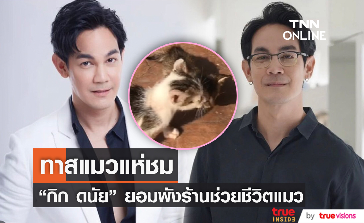 ทาสแมวแห่ชม "กิก ดนัย" ยอมเสียสละพังร้านตนเอง เพื่อช่วยชีวิตน้องแมว 