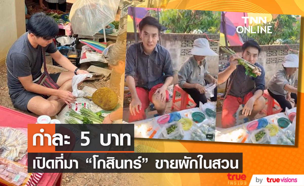 ไลฟ์สไตล์ของ "โกสินทร์" เก็บผักในสวนมาขาย
