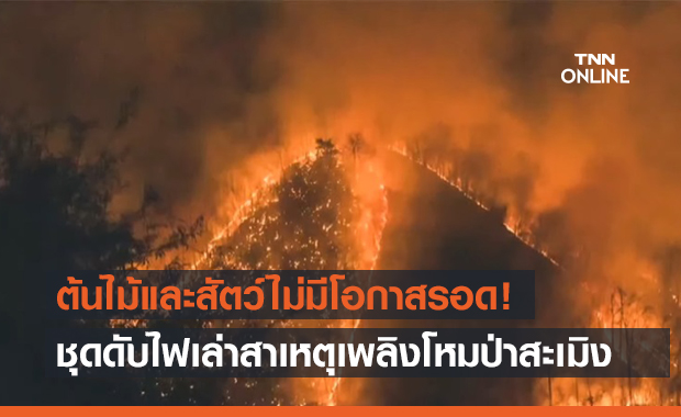 รู้แล้ว! เหตุไฟไหม้ป่าสะเมิง  ฟังชุดดับไฟพูดแล้วเศร้า