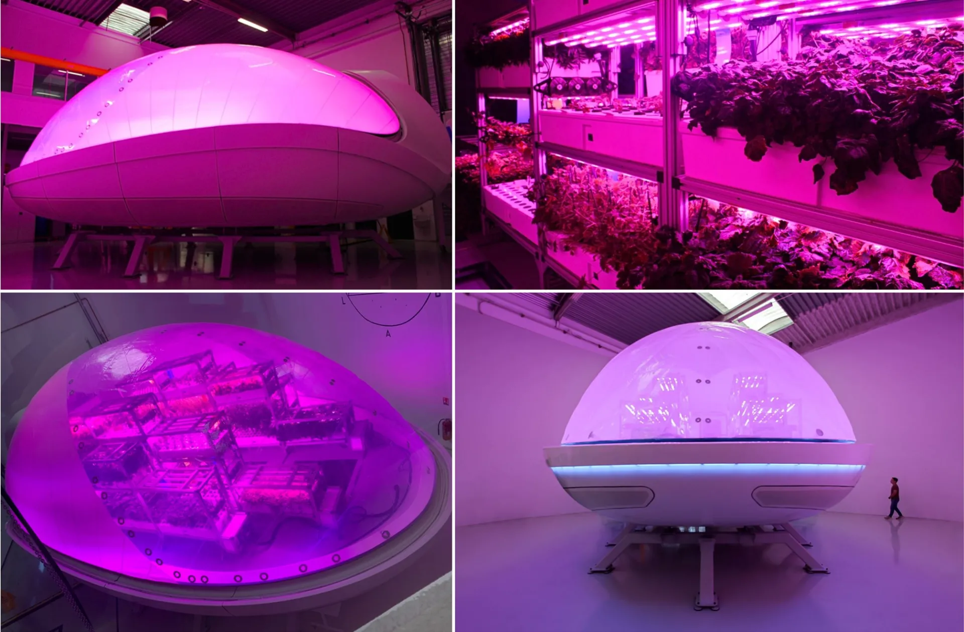  Biopods เรือนปลูกพืชที่อาจเป็นอนาคตของเกษตรบนอวกาศ