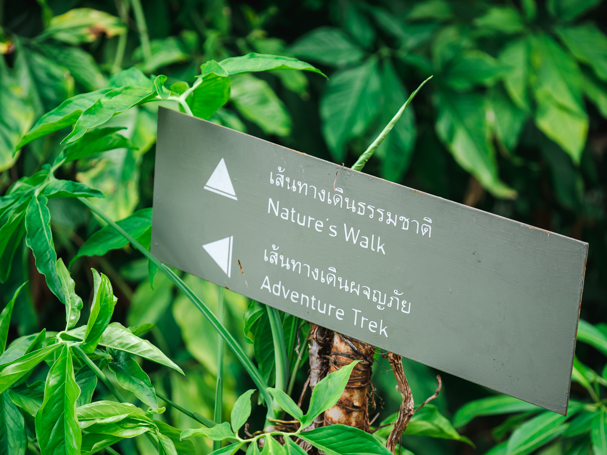 สัมผัสประสบการณ์ Everyone’s Wellness รับปีใหม่ก่อนใคร! ที่ RXV “รักษ วิลเลจ สามพราน” สัมผัสประสบการณ์ Everyone’s Wellness รับปีใหม่ก่อนใคร! ที่ RXV “รักษ วิลเลจ สามพราน”