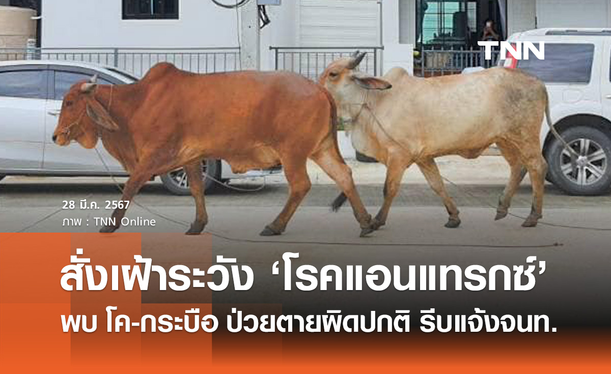 โรคแอนแทรกซ์! นายกฯสั่งคุมเข้ม หลังพบผู้ป่วยในลาว 54 ราย