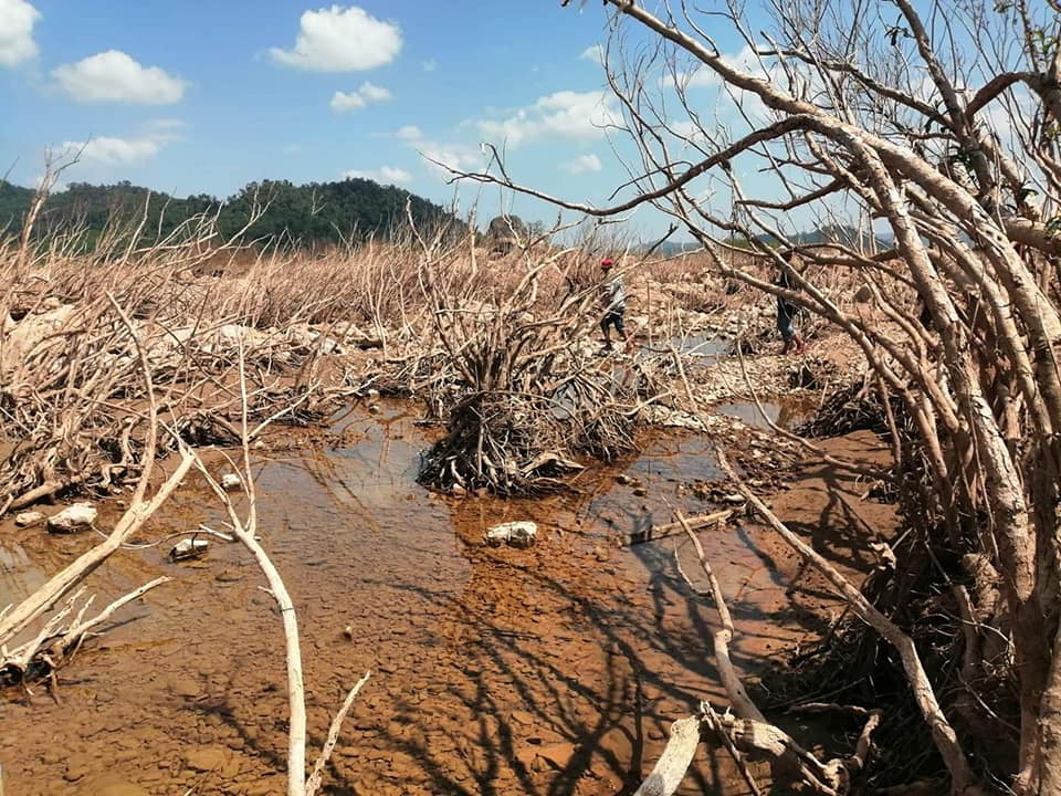 วิกฤตลุ่มน้ำโขง ระบบนิเวศกระทบ-ท้องถิ่นสะเทือน  ผ่านมุมมอง ไชยณรงค์ เศรษฐเชื้อ            