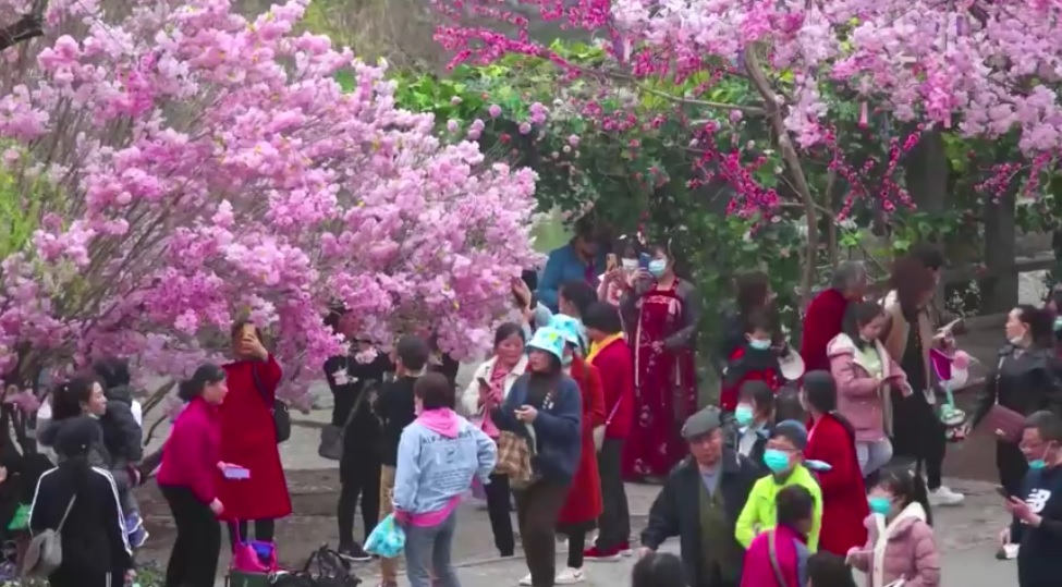 จีนจัดมหกรรมบุปผชาติร่วมฉลอง 100 ปีพรรคคอมมิวนิสต์ ตอน 1 โดย ดร.ไพจิตร วิบูลย์ธนสาร