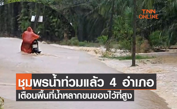 ด่วน! ชุมพรน้ำท่วมแล้ว 4 อำเภอ-เตือนพื้นที่น้ำหลากขนของไว้ที่สูง