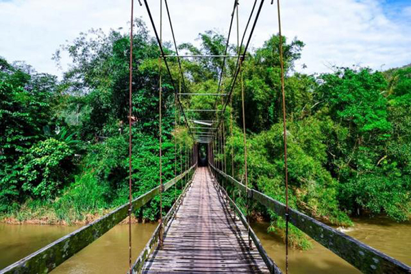 10 ที่เที่ยวยะลา 2565 สัมผัสหมอกปลายด้ามขวาน เมืองที่คุณต้องห้ามพลาด 10 ที่เที่ยวยะลา 2565 สัมผัสหมอกปลายด้ามขวาน เมืองที่คุณต้องห้ามพลาด