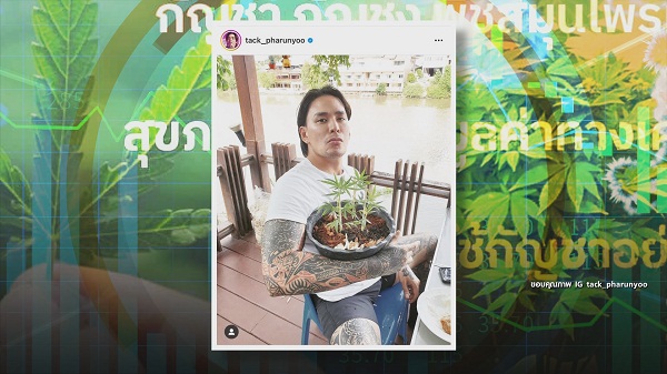 9 มิ.ย. ปลดล็อกกัญชาวันแรก “สรยุทธ-ไบรท์-แทค-โจอี้บอย-มาลีฮวนน่า” ตื่นตัว   (มีคลิป)